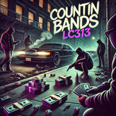 LC313 - Countin Bands