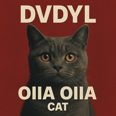 OIIA OIIA Cat
