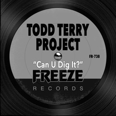 Todd Terry Project - Can U Dig It Mix (Remix)