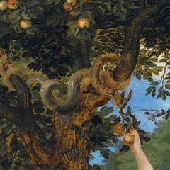 downstairs + roop prod margo x larua