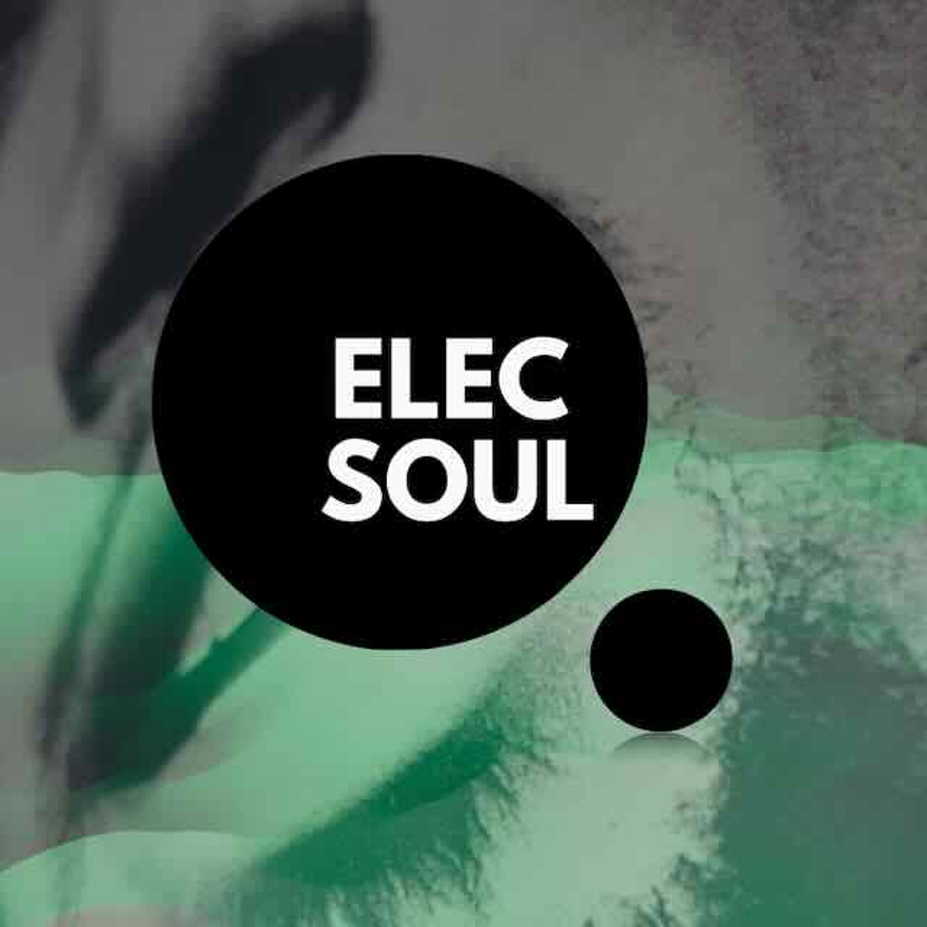 ElecSoul