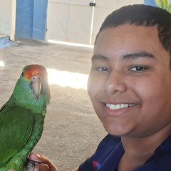 DJVITINHOPOOPER_OFC - PEQUENA MUSICA DO poopinho