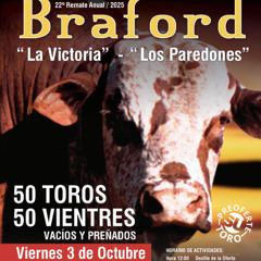 Fernando Mattos - Remate La Victoria y Los Paredones