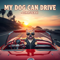 My Dog Can Drive