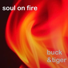 Soul On Fire