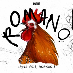 Premiere: Zigan Aldi & Monohøle - Romano [Anadole]