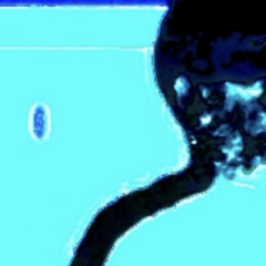 Pu$$y no. 3 Freestyle.wav