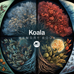 𝐏𝐑𝐄𝐌𝐈𝐄𝐑𝐄: Koala, Darles Flow - I Feel You [M-Sol DEEP]