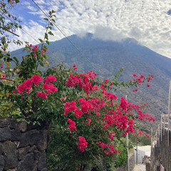 FAYUM (for all your mothers)