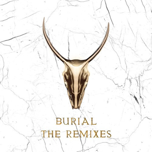 Thumbnail Burial Skrillex Amp Trollphace Remix