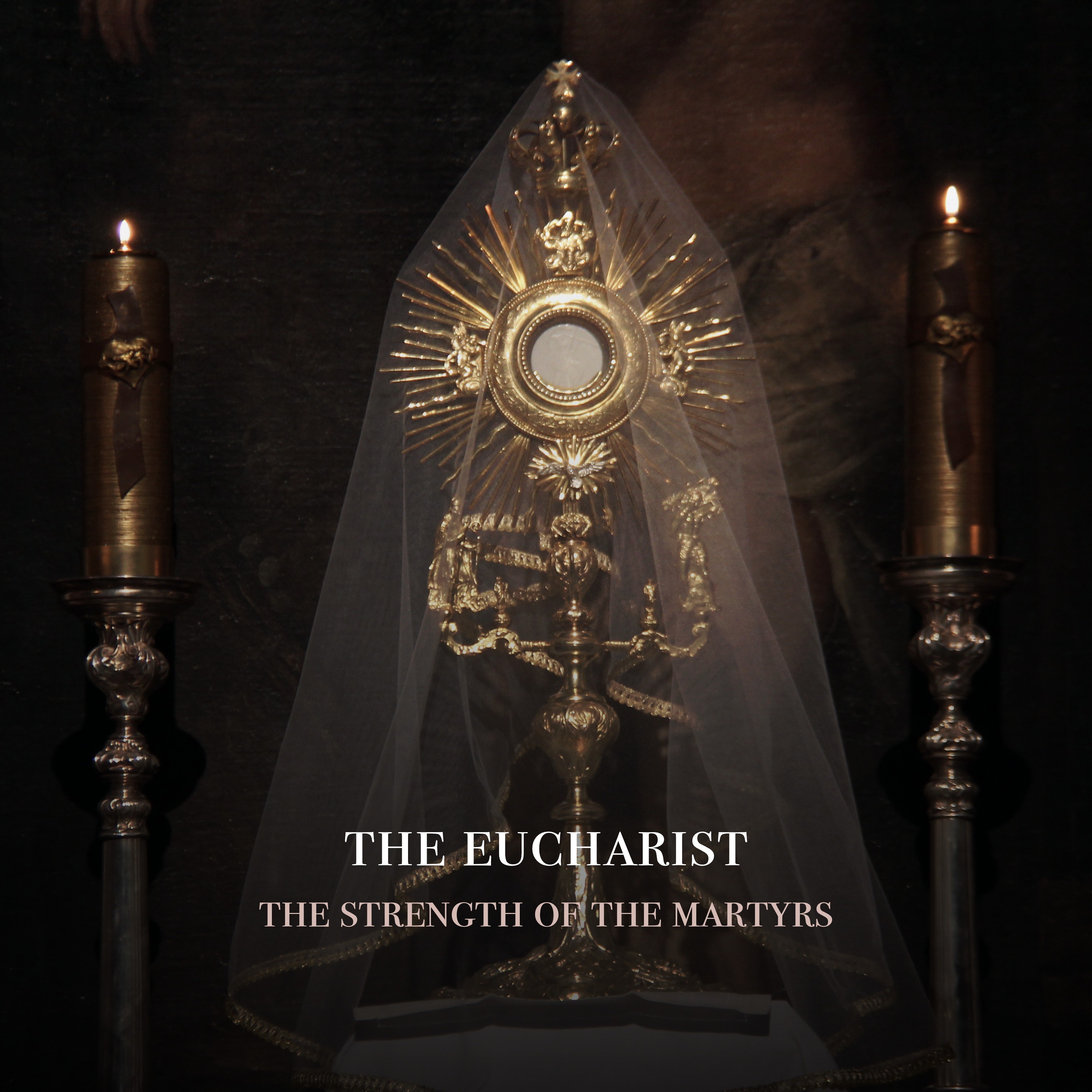 Fr. Barry Braum - Homilies and Conferences
