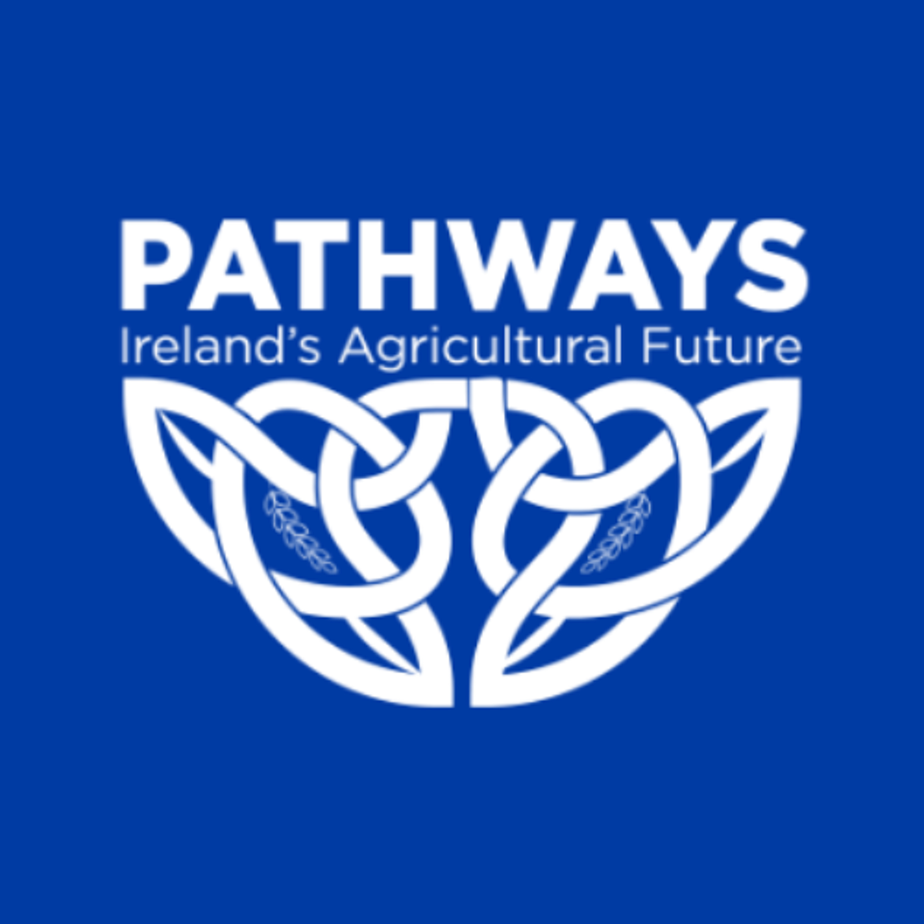 IIEA Talks