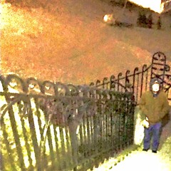 Wasted