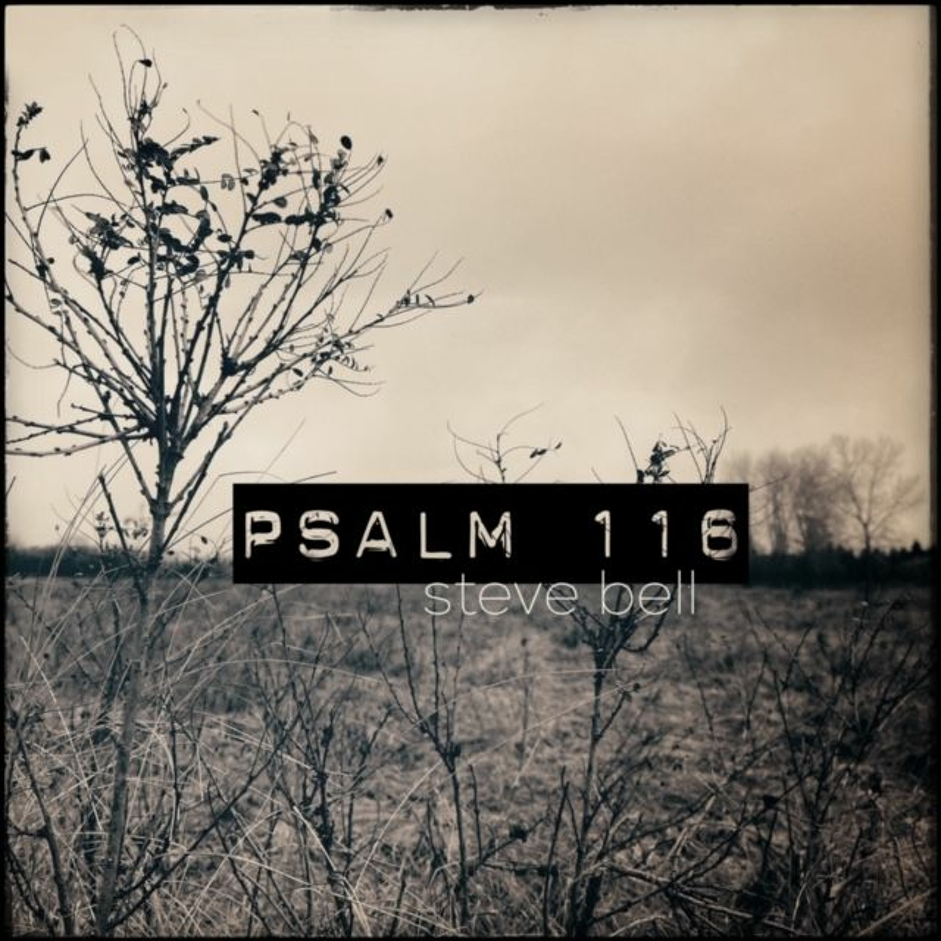 Psalm 116 episode artwork