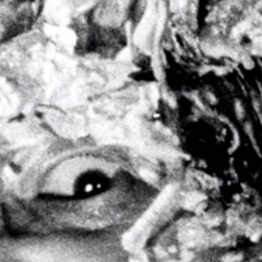 Who’s Head - N8nothing