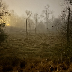 Sinkin In Tha Sand (4lukk x Harz x med1c)