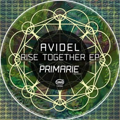 Avidel - Rise Together (Original Mix) Preview