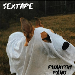 Paint Me Pretty - SexTape