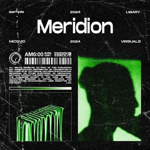 Meridion | MicsVIO