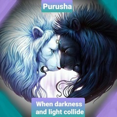 Purusha-When Darkness And Light Collide
