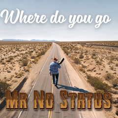 Mr No Status  - Where do you go