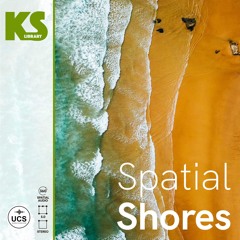 Spatial Shores
