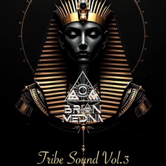 TRIBE Sound -Brian Medina VOL3