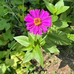 ドライブ🚗³₃