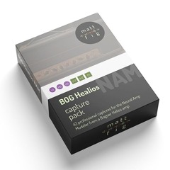 NAM Fig H - Lios 80s Hot Boost 212