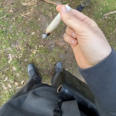 in den jungen Jahren