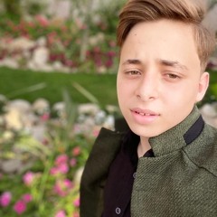 اغنية (مجنون نبودم) فارسية مع ريمكس