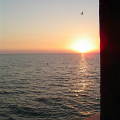 Downtempo/Focus