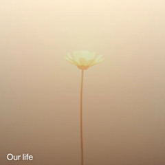 Our life (OK)