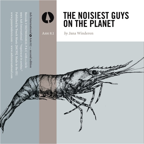 The Noisiest Guys on the Planet, Pt. 2