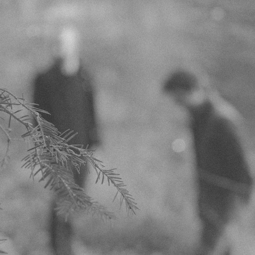 Live From The Barn (November 2020)