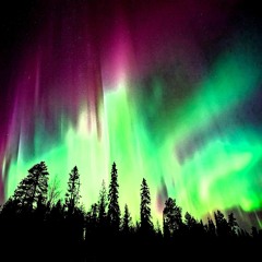 Neon Night Sky