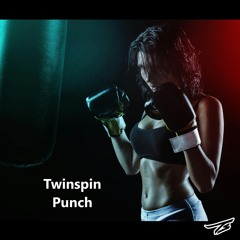Twinspin - Punch
