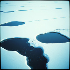 Frozen Tears