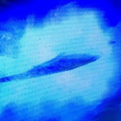 22 (Prod. Polar x IOF)