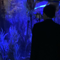 𝖍𝖆𝖎𝖗𝖉𝖗𝖞𝖊𝖗 - 𝕾𝖊𝖔𝖗𝖎 (𝖘𝖑𝖔𝖜𝖊𝖉 + 𝖗𝖊𝖛𝖊𝖗𝖇)