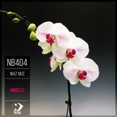 Niaz Muz - Peace Valley (Original Mix)