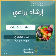 إرشاد زراعي | زراعة الخضراوات