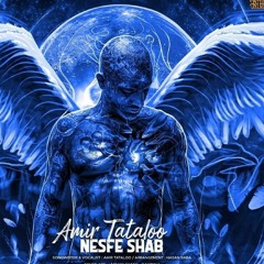 Amir Tataloo - Nesfe Shab [320].mp3