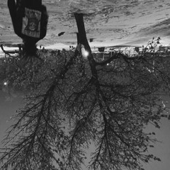 Gorilla Radio (OLD) prod. abnormal