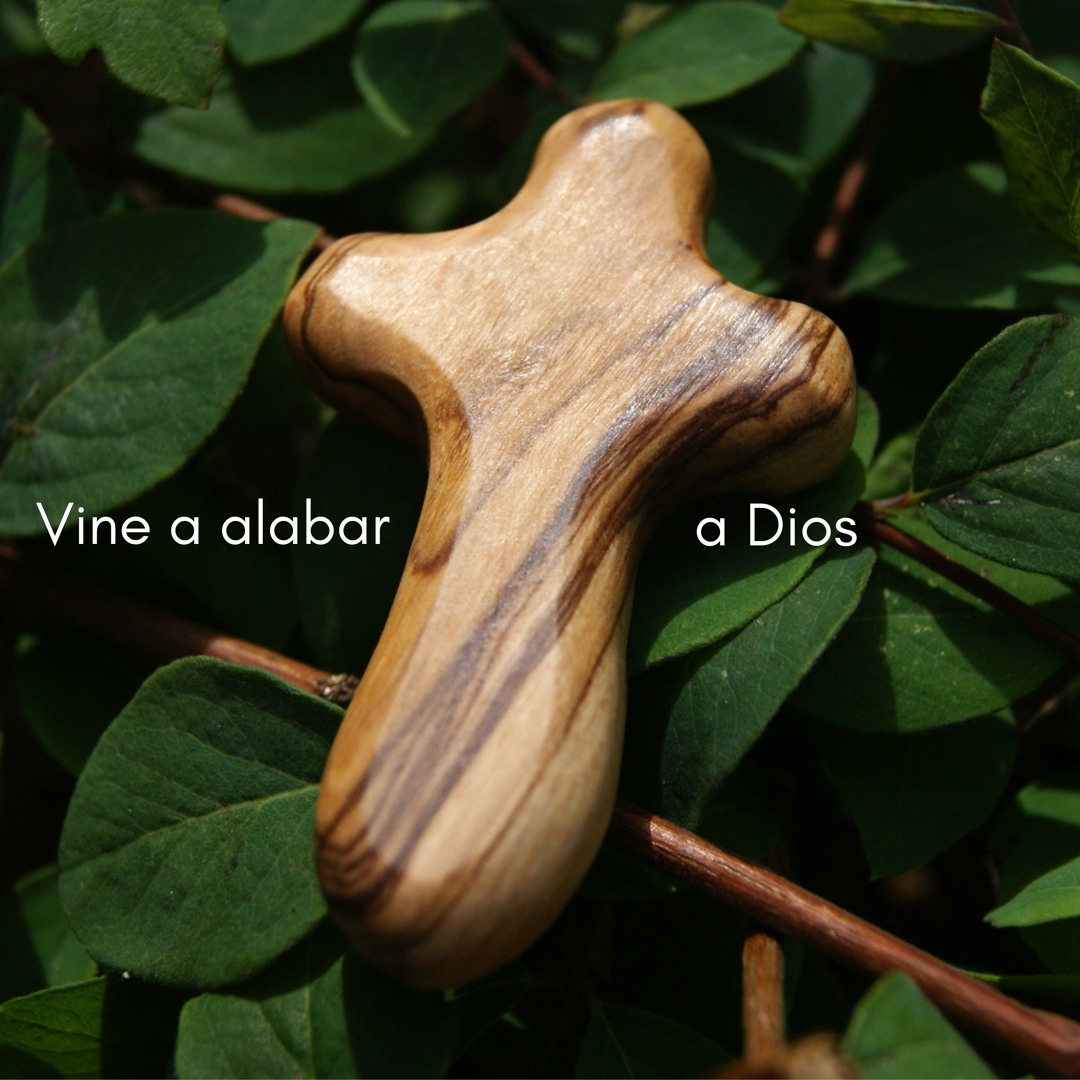 Stream Vine a alabar a Dios by Tomás Barrios | Listen online for free ...