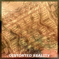 Distorted Reality (Original Mix) [FreeTrack]