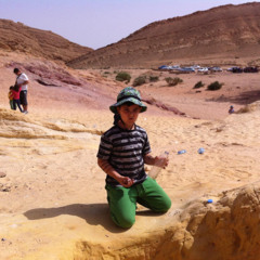 IDM favs - A Playlist