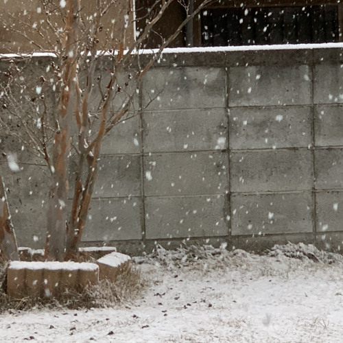 ウラジオストーブdemo