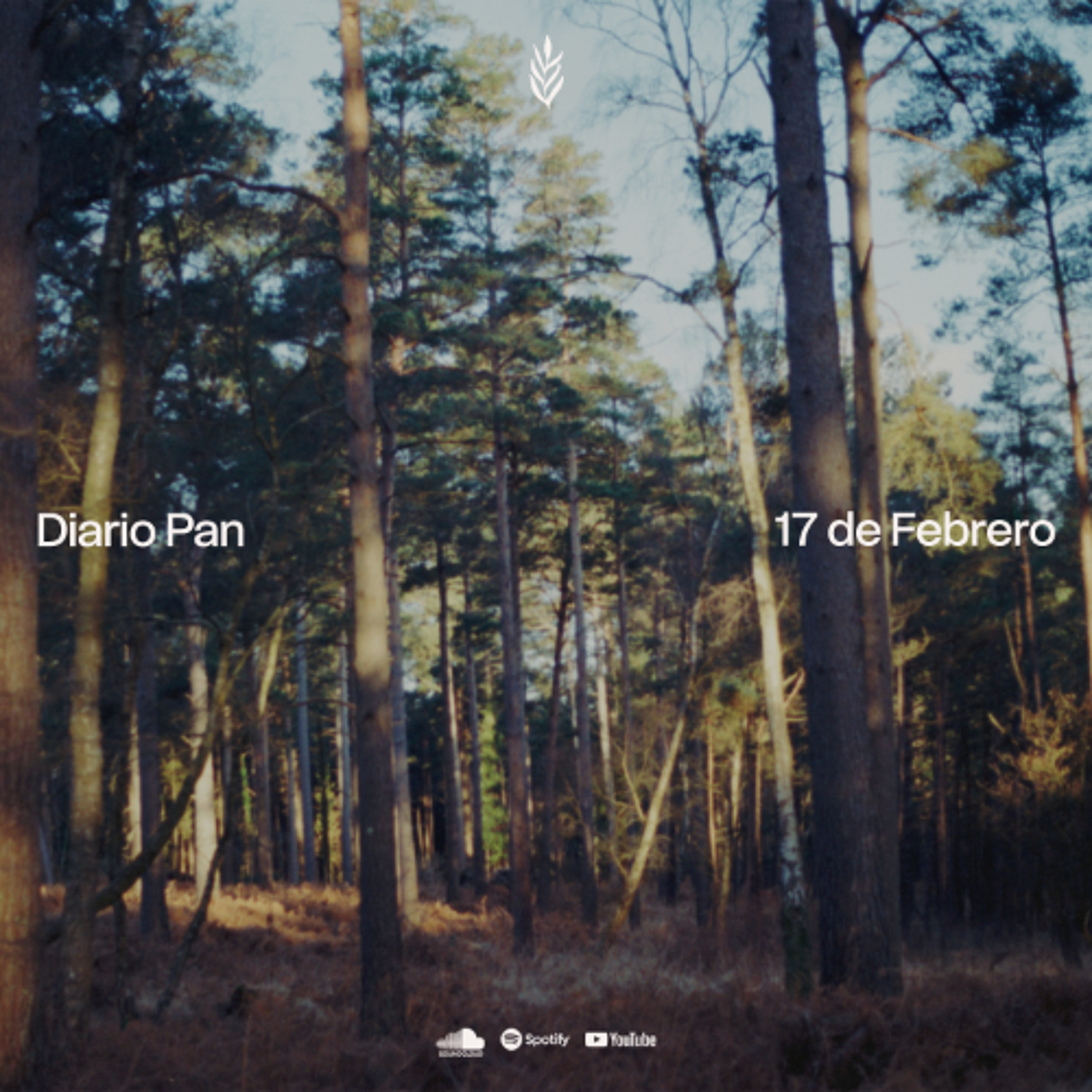 Devocional Diario Pan 17 de Febrero #DiarioPan