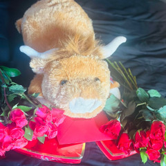 Rosa (ft. Fazo)(Prod. by BENJII YANG)